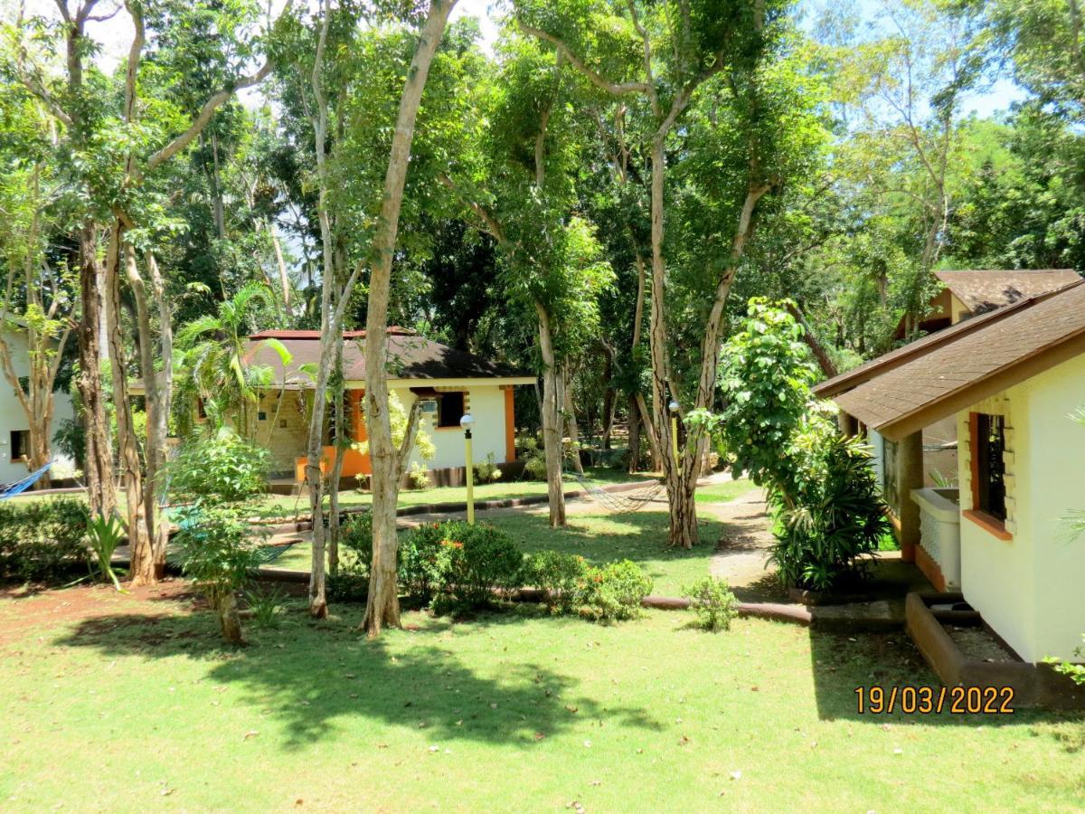 Alonaland Resort Panglao-stad Buitenkant foto