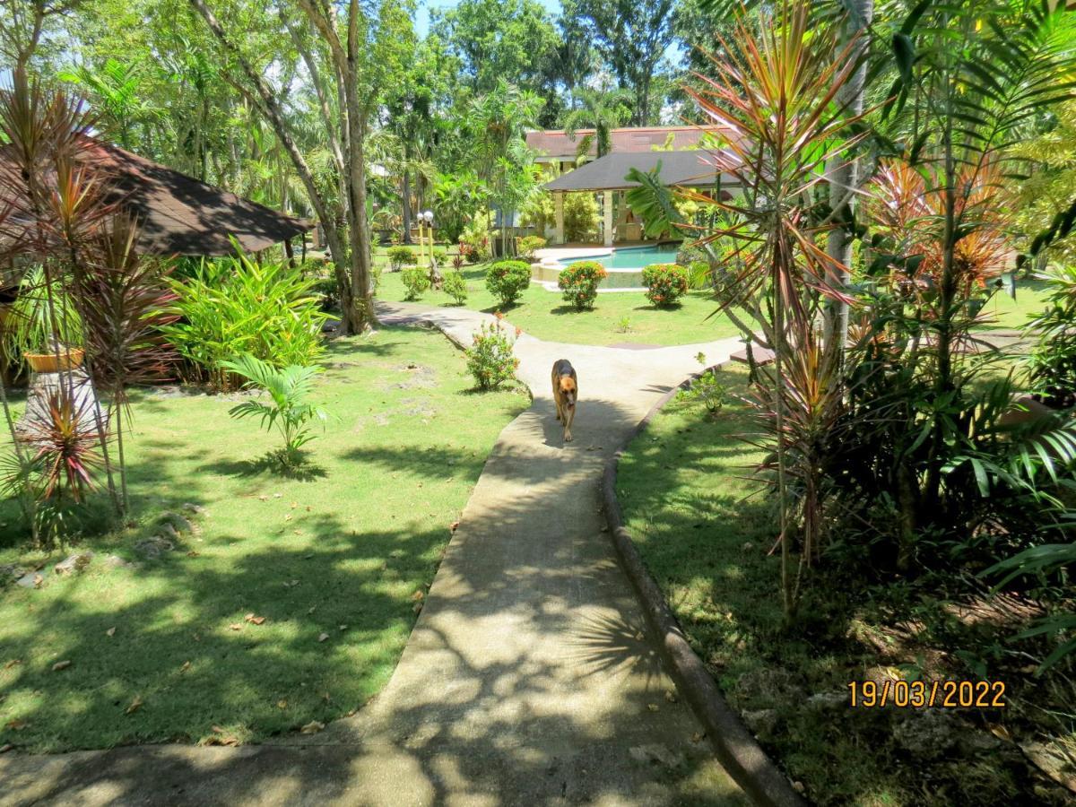 Alonaland Resort Panglao-stad Buitenkant foto