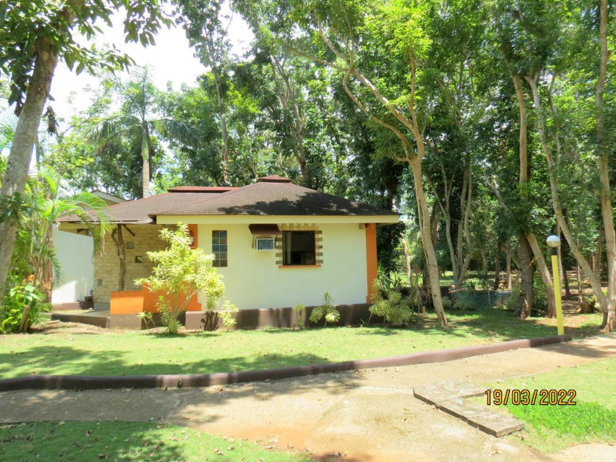 Alonaland Resort Panglao-stad Buitenkant foto