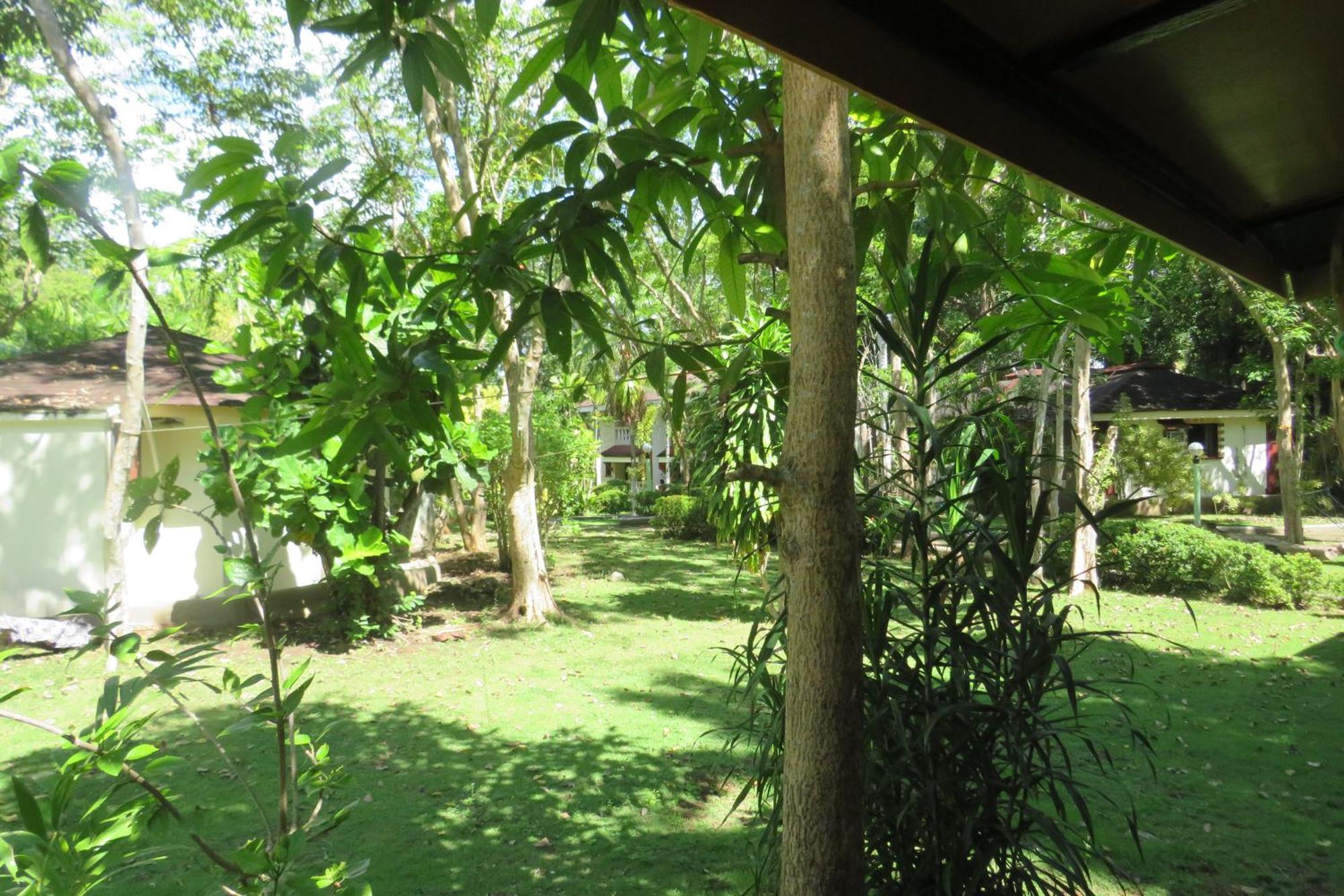 Alonaland Resort Panglao-stad Buitenkant foto