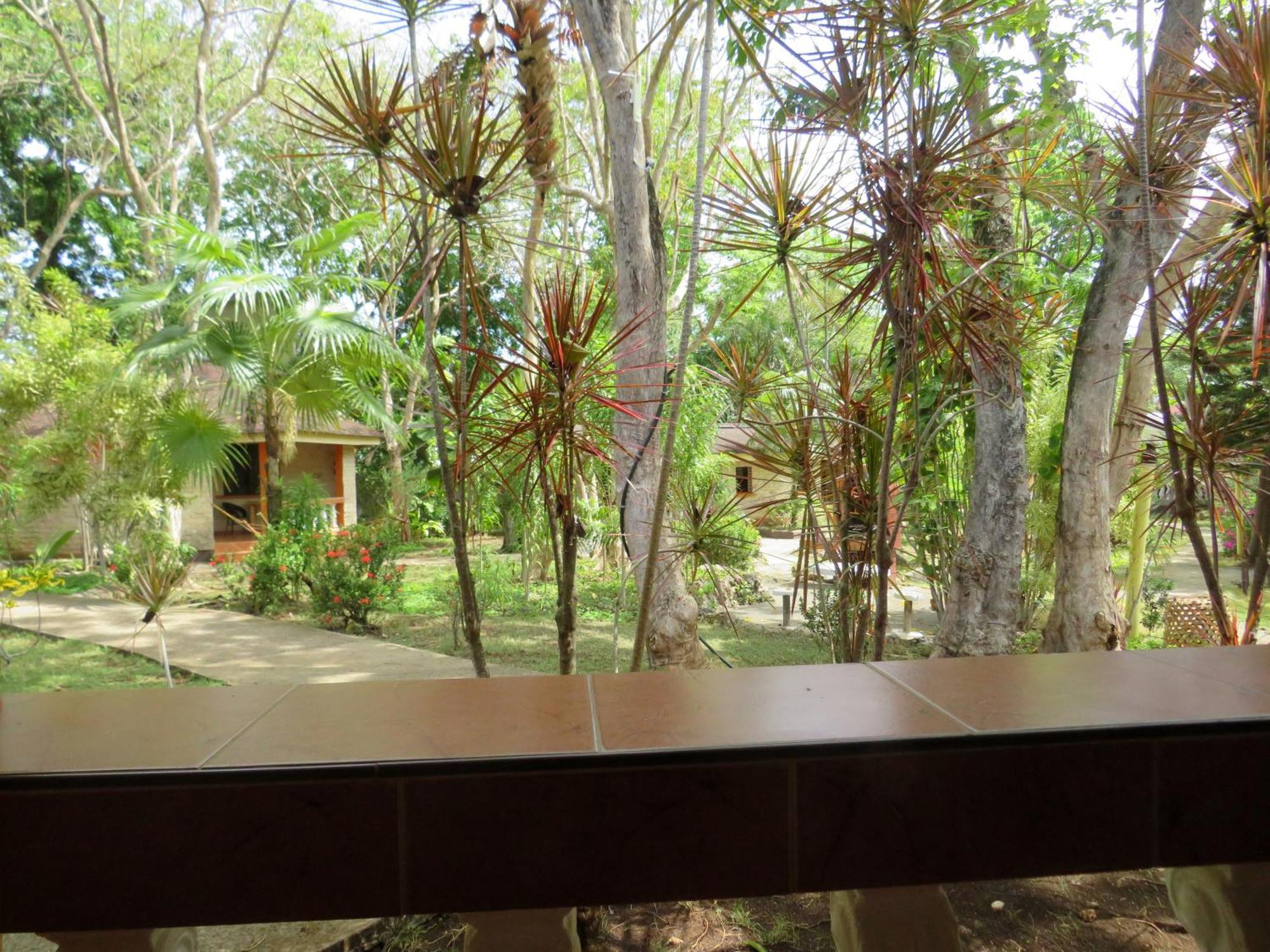 Alonaland Resort Panglao-stad Buitenkant foto